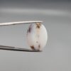 A 15.76-carat natural Iranian Milky Dendritic Agate (Shajari Dudhiya Aqeeq) cabochon, featuring a translucent white base with dark tree-like organic inclusions, held in jeweler's tweezers.