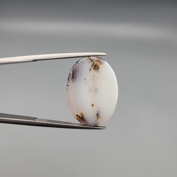 A 15.76-carat natural Iranian Milky Dendritic Agate (Shajari Dudhiya Aqeeq) cabochon, featuring a translucent white base with dark tree-like organic inclusions, held in jeweler's tweezers.