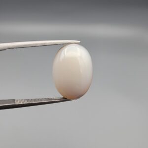 A 11.46-carat natural Iranian Milky Dendritic Agate (Shajari Dudhiya Aqeeq) cabochon with a translucent white body and dark, tree-like dendritic formations on the reverse side, held in jeweler's tweezers.