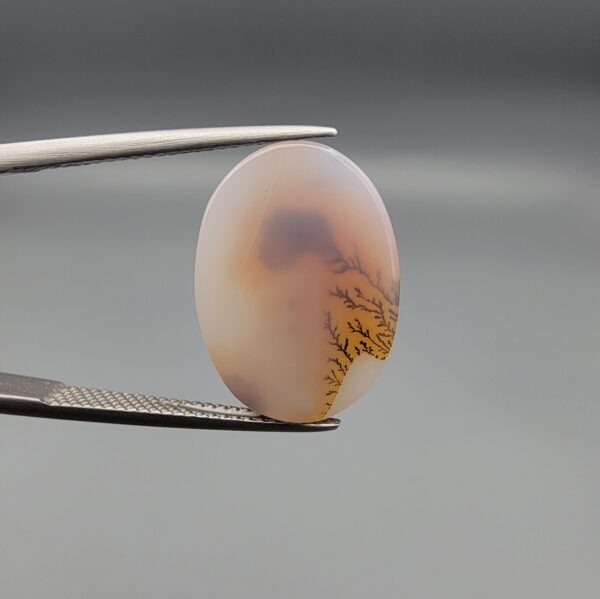 A 11.46-carat natural Iranian Milky Dendritic Agate (Shajari Dudhiya Aqeeq) cabochon with a translucent white body and dark, tree-like dendritic formations on the reverse side, held in jeweler's tweezers.