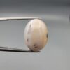 A 14.93-carat natural Iranian Milky Dendritic Agate (Shajari Dudhiya Aqeeq) cabochon with a translucent white body and dark, tree-like dendritic formations on the front surface.
