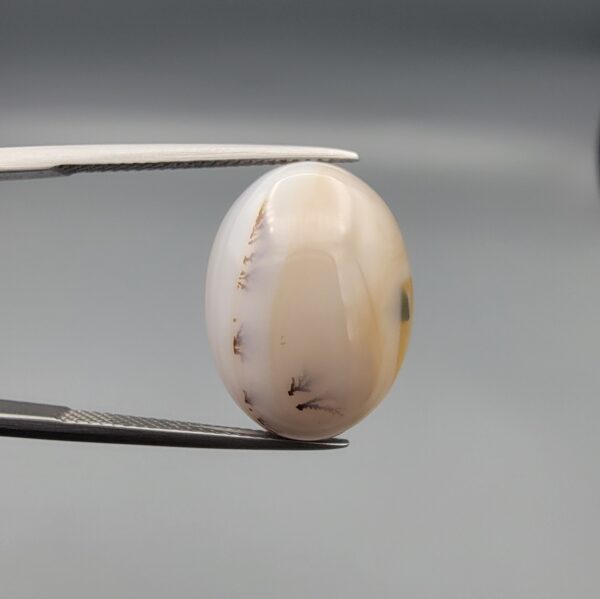 A 14.93-carat natural Iranian Milky Dendritic Agate (Shajari Dudhiya Aqeeq) cabochon with a translucent white body and dark, tree-like dendritic formations on the front surface.