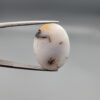 A 15.36-carat natural Iranian Milky Dendritic Agate (Shajari Dudhiya Aqeeq) cabochon with a glowing translucent white body and dark tree-like organic inclusions, held in jeweler's tweezers.