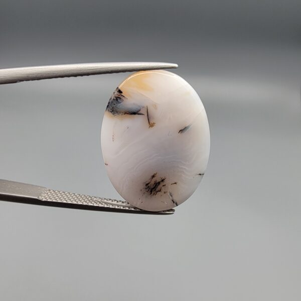 A 15.36-carat natural Iranian Milky Dendritic Agate (Shajari Dudhiya Aqeeq) cabochon with a glowing translucent white body and dark tree-like organic inclusions, held in jeweler's tweezers.
