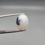 An 8.64-carat natural Iranian Milky Dendritic Agate (Shajari Dudhiya Aqeeq) cabochon with a glowing translucent white body and dark tree-like organic inclusions, held in jeweler's tweezers.