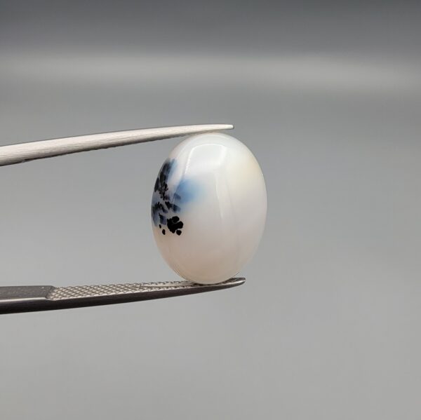 An 8.64-carat natural Iranian Milky Dendritic Agate (Shajari Dudhiya Aqeeq) cabochon with a glowing translucent white body and dark tree-like organic inclusions, held in jeweler's tweezers.