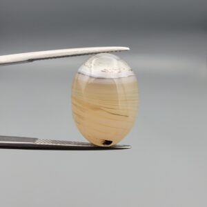 A 14.24-carat natural Iranian Milky Dendritic Agate (Shajari Dudhiya Aqeeq) with a light honey-comb color base and dark tree-like dendritic patterns, held in jeweler's tweezers.