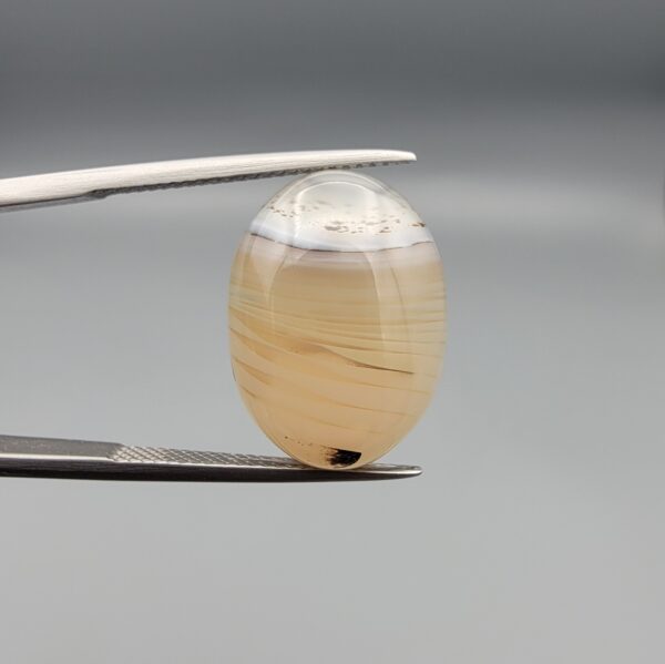 A 14.24-carat natural Iranian Milky Dendritic Agate (Shajari Dudhiya Aqeeq) with a light honey-comb color base and dark tree-like dendritic patterns, held in jeweler's tweezers.