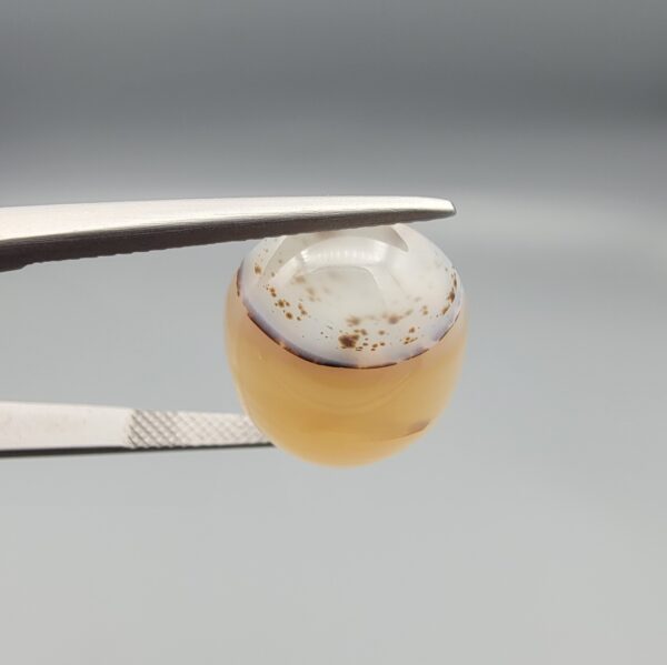 A 14.24-carat natural Iranian Milky Dendritic Agate (Shajari Dudhiya Aqeeq) with a light honey-comb color base and dark tree-like dendritic patterns, held in jeweler's tweezers.
