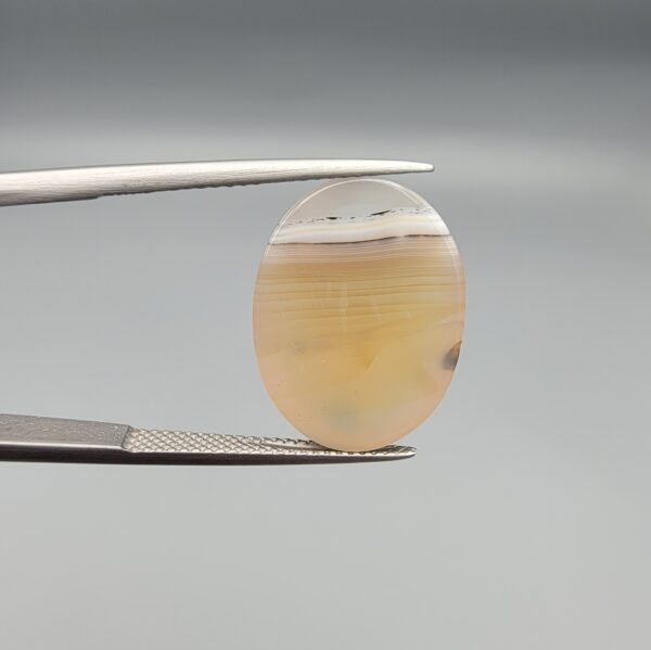 A 14.24-carat natural Iranian Milky Dendritic Agate (Shajari Dudhiya Aqeeq) with a light honey-comb color base and dark tree-like dendritic patterns, held in jeweler's tweezers.