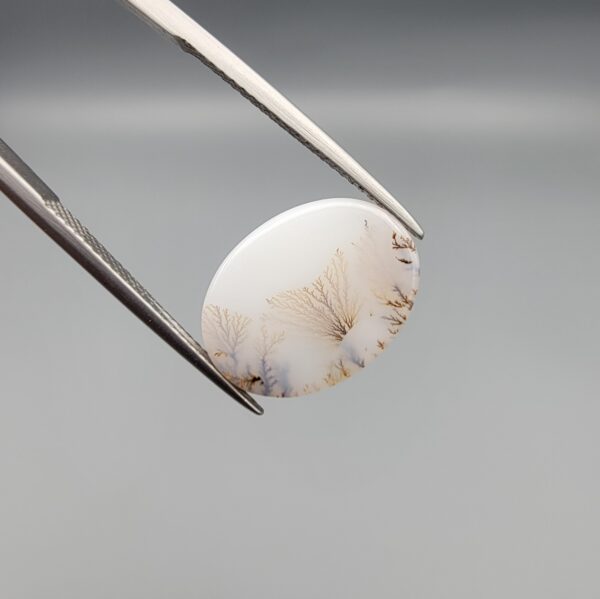 A premium 7.89-carat natural Iranian Milky Dendritic Agate (Shajari Dudhiya Aqeeq) with a high-translucency white body and sharp, tree-like dendritic patterns visible on both sides, held in jeweler's tweezers.