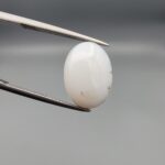 A premium 7.89-carat natural Iranian Milky Dendritic Agate (Shajari Dudhiya Aqeeq) with a high-translucency white body and sharp, tree-like dendritic patterns visible on both sides, held in jeweler's tweezers.