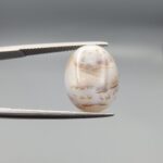 An 8.08-carat natural Iranian Milky Dendritic Agate (Shajari Dudhiya Aqeeq) showing a high-translucency white body with sharp, tree-like dendritic patterns visible on both the front and back sides, held in jeweler's tweezers.