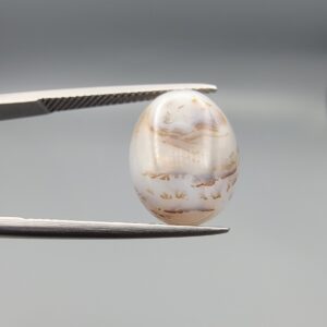 An 8.08-carat natural Iranian Milky Dendritic Agate (Shajari Dudhiya Aqeeq) showing a high-translucency white body with sharp, tree-like dendritic patterns visible on both the front and back sides, held in jeweler's tweezers.