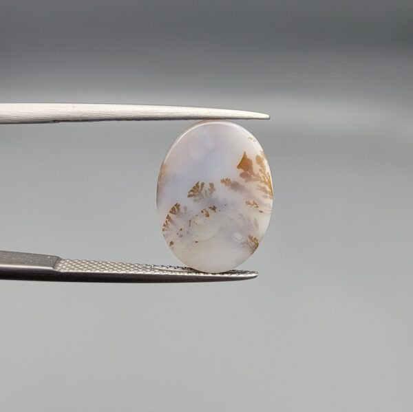 An 8.08-carat natural Iranian Milky Dendritic Agate (Shajari Dudhiya Aqeeq) showing a high-translucency white body with sharp, tree-like dendritic patterns visible on both the front and back sides, held in jeweler's tweezers.