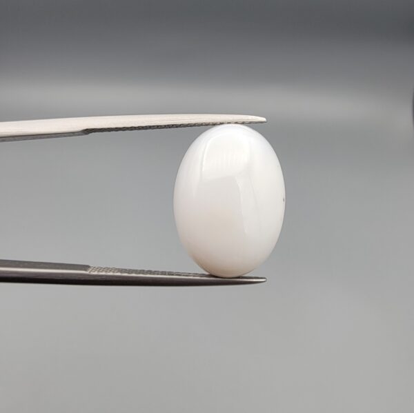 Natural Iranian Milky Dendritic Agate (Shajari Dudhiya Aqeeq) – 10.65 Carat – Pure White Front | Detailed Tree Patterns on Back | Authentic Earth-Mined Gem