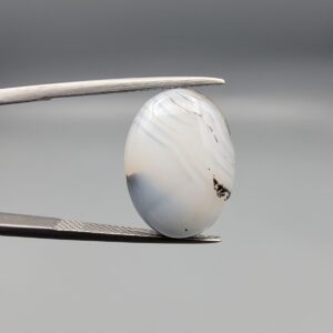 A 10.13-carat natural Iranian Milky Dendritic Agate (Shajari Dudhiya Aqeeq) cabochon with a translucent white body and sharp black tree-like dendritic lines on both sides, held in jeweler's tweezers.