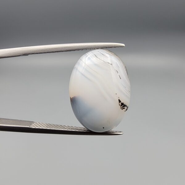 A 10.13-carat natural Iranian Milky Dendritic Agate (Shajari Dudhiya Aqeeq) cabochon with a translucent white body and sharp black tree-like dendritic lines on both sides, held in jeweler's tweezers.