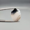 A 10.13-carat natural Iranian Milky Dendritic Agate (Shajari Dudhiya Aqeeq) cabochon with a translucent white body and sharp black tree-like dendritic lines on both sides, held in jeweler's tweezers.