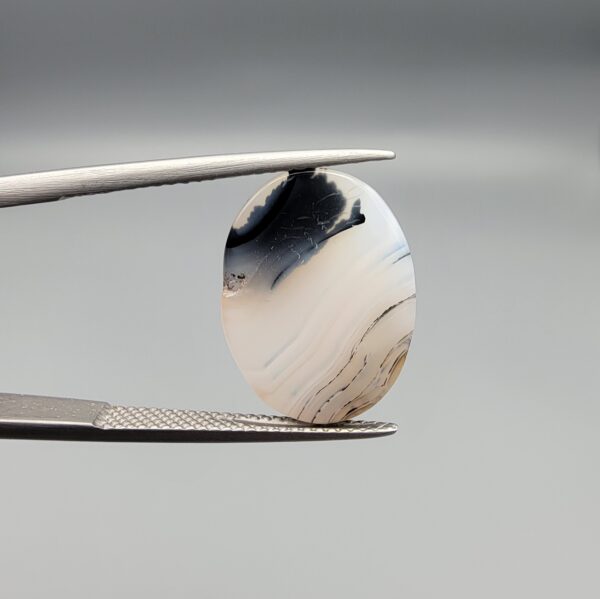 A 10.13-carat natural Iranian Milky Dendritic Agate (Shajari Dudhiya Aqeeq) cabochon with a translucent white body and sharp black tree-like dendritic lines on both sides, held in jeweler's tweezers.