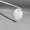 A 14.83-carat natural Iranian Milky Dendritic Agate (Shajari Dudhiya Aqeeq) cabochon with a translucent white body and rare brown tree-like dendritic inclusions on the reverse side, held in jeweler's tweezers.