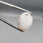 A 14.83-carat natural Iranian Milky Dendritic Agate (Shajari Dudhiya Aqeeq) cabochon with a translucent white body and rare brown tree-like dendritic inclusions on the reverse side, held in jeweler's tweezers.