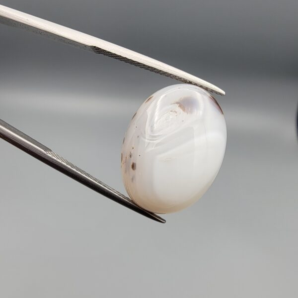 A 14.83-carat natural Iranian Milky Dendritic Agate (Shajari Dudhiya Aqeeq) cabochon with a translucent white body and rare brown tree-like dendritic inclusions on the reverse side, held in jeweler's tweezers.