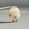 A 14.83-carat natural Iranian Milky Dendritic Agate (Shajari Dudhiya Aqeeq) cabochon with a translucent white body and rare brown tree-like dendritic inclusions on the reverse side, held in jeweler's tweezers.