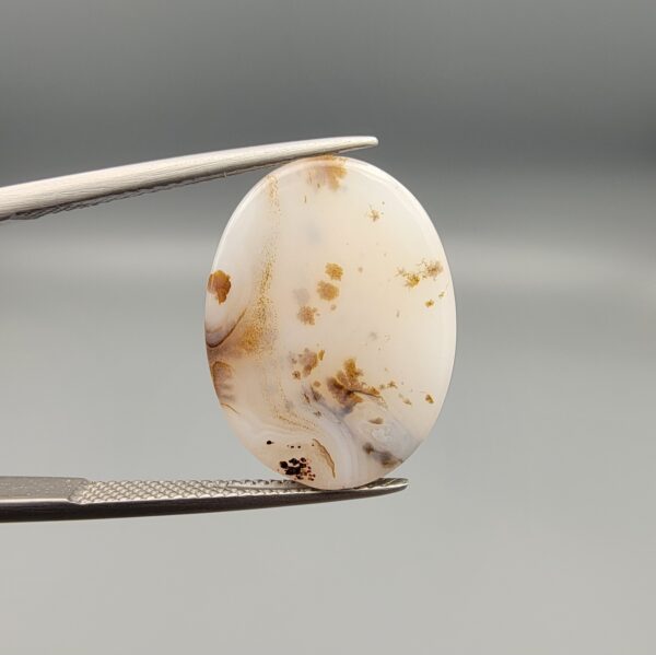 A 14.83-carat natural Iranian Milky Dendritic Agate (Shajari Dudhiya Aqeeq) cabochon with a translucent white body and rare brown tree-like dendritic inclusions on the reverse side, held in jeweler's tweezers.