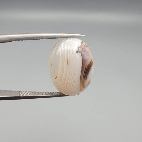 ​A 15.53-carat natural Milky Dendritic Agate (Shajari Aqeeq) from Iran, featuring a smooth oval cabochon cut with brownish tree-like inclusions and layered patterns on both sides.