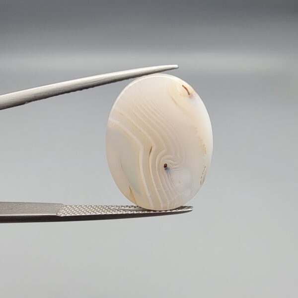 ​A 15.53-carat natural Milky Dendritic Agate (Shajari Aqeeq) from Iran, featuring a smooth oval cabochon cut with brownish tree-like inclusions and layered patterns on both sides.