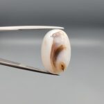 ​A 15.53-carat natural Milky Dendritic Agate (Shajari Aqeeq) from Iran, featuring a smooth oval cabochon cut with brownish tree-like inclusions and layered patterns on both sides.