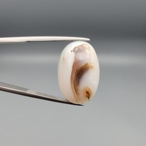 ​A 15.53-carat natural Milky Dendritic Agate (Shajari Aqeeq) from Iran, featuring a smooth oval cabochon cut with brownish tree-like inclusions and layered patterns on both sides.