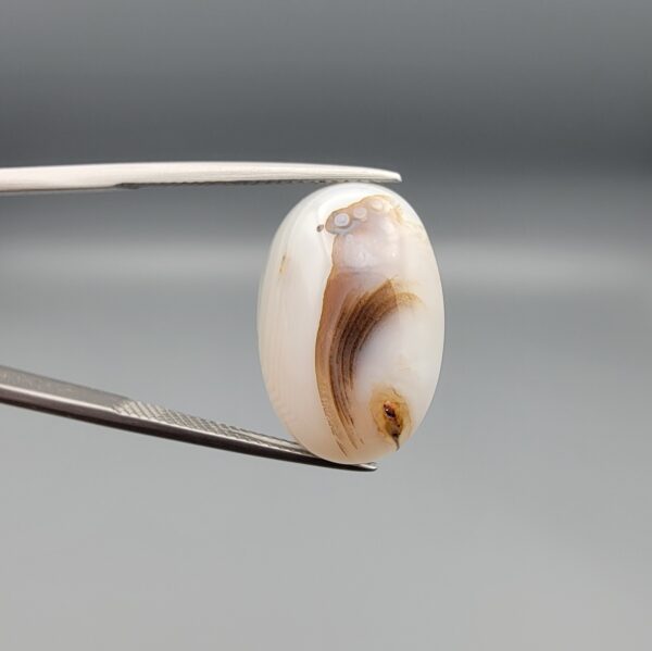 ​A 15.53-carat natural Milky Dendritic Agate (Shajari Aqeeq) from Iran, featuring a smooth oval cabochon cut with brownish tree-like inclusions and layered patterns on both sides.