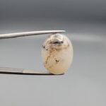 A 15.31-carat natural Milky Dendritic Agate (Shajari Aqeeq) from Iran, showcasing a smooth oval cabochon cut with sharp black and brown tree-like inclusions on both sides.