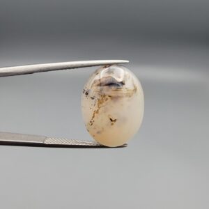 A 15.31-carat natural Milky Dendritic Agate (Shajari Aqeeq) from Iran, showcasing a smooth oval cabochon cut with sharp black and brown tree-like inclusions on both sides.