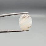 A 7.85-carat natural Milky Dendritic Agate (Shajari Aqeeq) from Iran, featuring a polished oval cabochon with distinct black and brown layered tree-like inclusions on both sides.