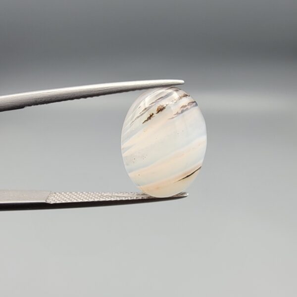 A 7.85-carat natural Milky Dendritic Agate (Shajari Aqeeq) from Iran, featuring a polished oval cabochon with distinct black and brown layered tree-like inclusions on both sides.