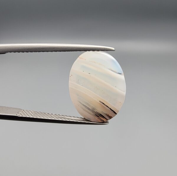 A 7.85-carat natural Milky Dendritic Agate (Shajari Aqeeq) from Iran, featuring a polished oval cabochon with distinct black and brown layered tree-like inclusions on both sides.