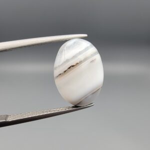 ​A 7.26-carat natural Milky Dendritic Agate (Shajari Aqeeq) from Iran, featuring a smooth oval cabochon cut with sharp black and brown layered tree-like inclusions on both sides.