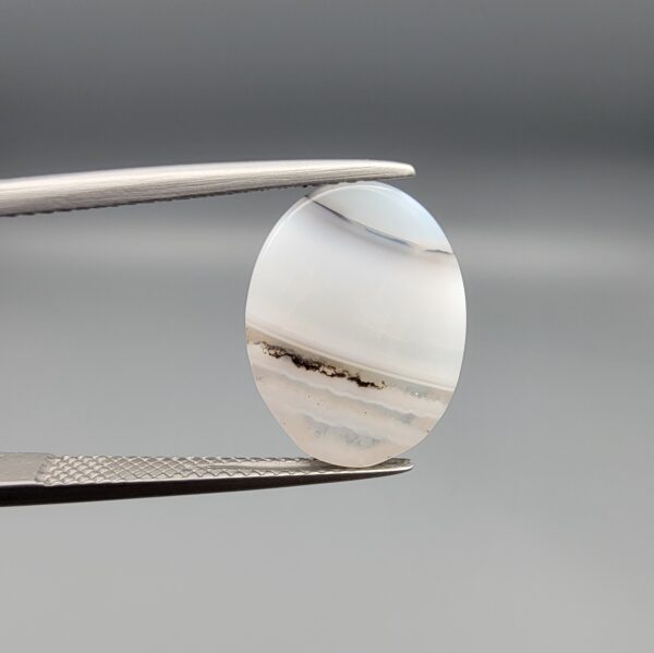 ​A 7.26-carat natural Milky Dendritic Agate (Shajari Aqeeq) from Iran, featuring a smooth oval cabochon cut with sharp black and brown layered tree-like inclusions on both sides.