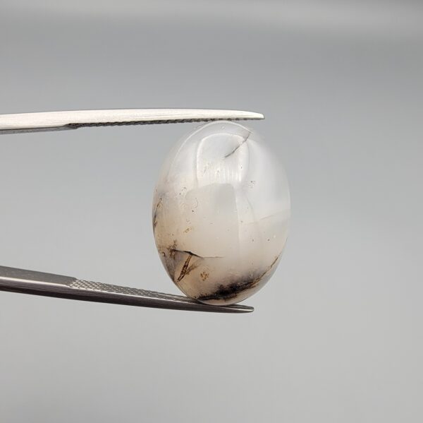 ​A 10.69-carat natural Milky Dendritic Agate (Shajari Aqeeq) from Iran, featuring a smooth oval cabochon cut with soft light-brown layered tree-like inclusions on both sides.