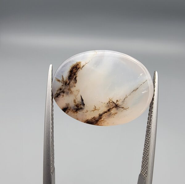 ​A 10.69-carat natural Milky Dendritic Agate (Shajari Aqeeq) from Iran, featuring a smooth oval cabochon cut with soft light-brown layered tree-like inclusions on both sides.