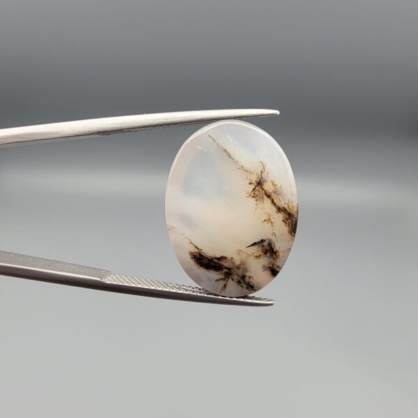 ​A 10.69-carat natural Milky Dendritic Agate (Shajari Aqeeq) from Iran, featuring a smooth oval cabochon cut with soft light-brown layered tree-like inclusions on both sides.