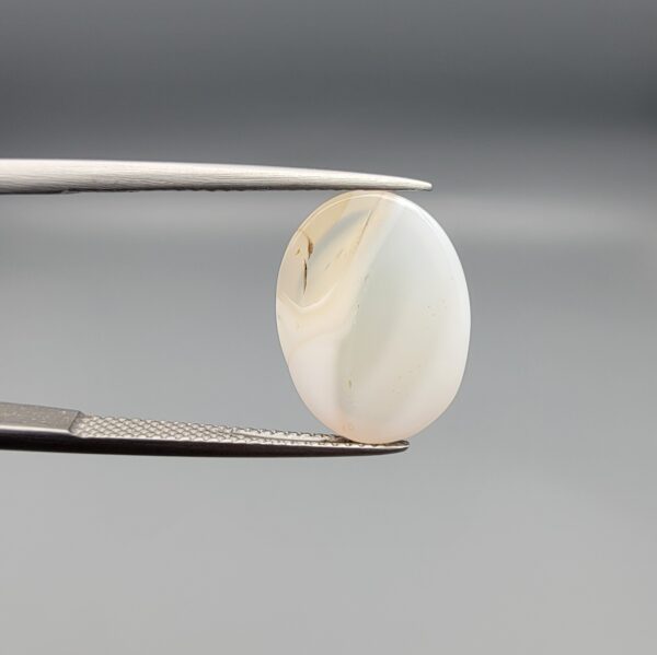 ​A 7.98-carat natural Milky Dendritic Agate (Shajari Aqeeq) from Iran, featuring a smooth oval cabochon cut with soft light-brown layered tree-like inclusions on both sides.