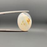 ​A 7.98-carat natural Milky Dendritic Agate (Shajari Aqeeq) from Iran, featuring a smooth oval cabochon cut with soft light-brown layered tree-like inclusions on both sides.