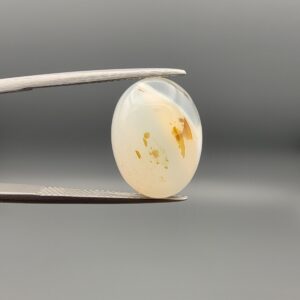 ​A 7.98-carat natural Milky Dendritic Agate (Shajari Aqeeq) from Iran, featuring a smooth oval cabochon cut with soft light-brown layered tree-like inclusions on both sides.