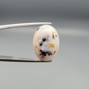 ​A 10-carat natural Milky Dendritic Agate (Shajari Aqeeq) from Iran, featuring an oval cabochon with sharp black and brown tree-like inclusions on the front and a clear, inclusion-free milky reverse side.