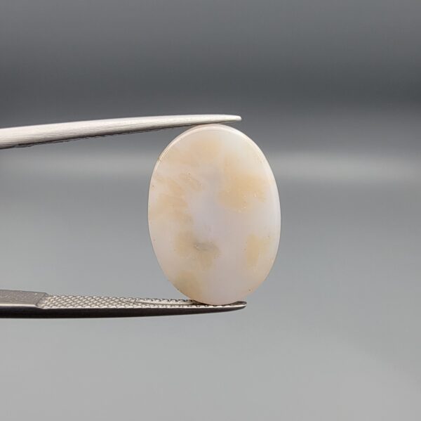 ​A 10-carat natural Milky Dendritic Agate (Shajari Aqeeq) from Iran, featuring an oval cabochon with sharp black and brown tree-like inclusions on the front and a clear, inclusion-free milky reverse side.