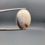 A museum-grade 15.54-carat Iranian Shajari Dudhiya Aqeeq with exceptional black and brown dendritic tree patterns visible on both the front and back of a translucent oval cabochon.